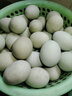 我老家鲜谷物喂养新鲜散养绿壳蛋乌鸡蛋 40枚 实拍图