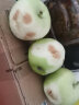 帆儿庄园青苹果果水果新鲜脆甜酸苹果应季批发孕妇 青苹果 带箱9斤中果【品鲜】 晒单实拍图