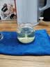 小叶苦丁茶2024芽头 头采苦丁茶叶青山绿水四川峨眉山嫩芽花草茶 【大罐】【2罐】小叶苦丁250g 实拍图
