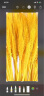 九千谷麦穗摆件干花束仿真花卉大麦客厅桌面装饰品 100支带钱袋花瓶4411 实拍图