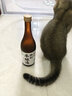 松竹梅特别本酿造清酒720mL 精米步合60% 日本百年品牌 年货节送礼 实拍图
