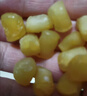 渔大叔 淡干干贝150g瑶柱即食扇贝海鲜特产即食源头直发包邮 实拍图