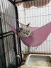 【带猫垫】喵先生 猫包外出猫背包宠物背包大号猫咪太空舱便携双肩背包透气太空包狗狗外出小型犬旅行包用品 黑色 建议15斤内猫咪/12斤内狗狗 实拍图