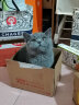 麦富迪猫粮猫零食猫湿粮猫条猫罐头尝鲜大礼包413g 幼猫款 实拍图