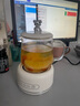多功能花茶壶迷你养生壶家用办公室小型养生杯煮茶热牛奶电炖杯 智能款电炖杯 0.6L 实拍图