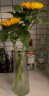 吕姆克花瓶玻璃花瓶摆件工艺品插花仿真干花富贵竹水养花瓶中号透明5043 实拍图