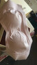 ubras母亲节礼物侧收大杯文胸收副乳内衣女大胸显小防下垂胸罩粉底液 可调肩带-兰花烟 XL (85B/85C/85D) 实拍图