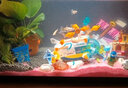 欧龙水族OLON 孔雀鱼饲料鱼食小型鱼热带鱼饲料通用观赏鱼斗鱼灯科鱼鱼粮 丰年虾贴片饲料 260ml 实拍图