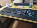 罗技（Logitech） K845机械键盘  有线办公键盘  全尺寸背光游戏电竞键盘 吃鸡英雄联盟 K845（青轴） +G102二代+大鼠标垫 晒单实拍图
