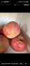旭耕 烟台有机苹果4.8斤 有机认证红富士水果脆甜多汁健康轻食生鲜 富士有机苹果 80-85mm 实拍图