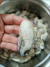 美加佳 韩国大号冷冻牡蛎肉 生蚝肉 净重500g L码 海蛎子 深海牡蛎 实拍图