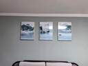 城篇北欧壁画装饰画客厅三联沙发背景墙挂画现代简约大气餐厅卧室墙画 T133495前程似锦 30*40cm 9mm布纹膜三联画黑边 实拍图