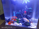 异景园鱼缸仿真假山造景装饰石头布景套餐水族箱大小树脂摆件躲避洞松石 假山192A 实拍图