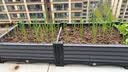 原起点50cm加大阳台种菜箱长方形塑料花盆户外蔬菜种植神器室外花箱花槽 【加厚】单层5联箱(250*40*21） 实拍图