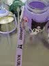 初和（CRUHRE）儿童水杯tritan女生高颜值吸管杯子直身杯斜挎卡通饮用水壶大容量 CH-2510【吸管+直饮】三丽·鸥库洛米  420ml 实拍图