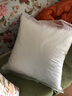 恒源祥纯棉抱枕芯纯色靠枕芯沙发靠垫内胆40 45 50 55 60婚庆靠枕芯腰枕 白色(单只) 60cm*60cm 含枕芯 实拍图