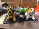 汽车摆件车载仿真摇头狗可爱卡通名犬公仔摆台汽车内装饰品小狗车饰车内饰品高档车载装饰用品中控台网红 牧羊犬比格配黑色吉祥果 实拍图