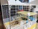 蔻丝兔笼子防喷尿特大号室内专用兔子笼子防溅尿自动清粪荷兰猪兔子窝 黄-双层套餐款【升级四件套】 实拍图