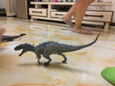 赟娅儿童过家家大号侏罗纪硬胶恐龙模型优质橡胶霸王龙暴虐龙模型玩具 暴虐霸王龙（嘴巴可闭合） 实拍图