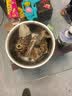 九楼阁 景德镇青花高温陶瓷仿古白酒酒壶酒杯酒具套装高脚杯酒具1壶10杯 梅子青 泡沫安全包装--不含托盘 实拍图