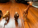 纽奇（Nukied）儿童恐龙玩具男孩3-6岁动物模型霸王龙长颈鹿野生动物套装礼物 动物王国12件套【动物手册】 实拍图