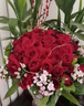 欣尚 鲜花速递红玫瑰花束送老婆女友生日礼物全国同城配送 19朵香槟玫瑰粉玫瑰混搭 实拍图