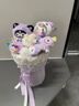 嘉百利毛绒玩具hellokitty玩偶花束公仔520生日礼物送老师老婆男女朋友 酷洛米玩偶花束送礼袋+灯串 中号花束（送小朋友） 实拍图