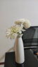 润华年满天星干花插花花瓶陶瓷装饰品摆件客厅水培白色花器简约 小白折【冲量款】 实拍图