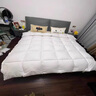 浪莎（LangSha）全棉国标羽绒被95白鹅绒被子冬被加厚保暖秋冬被褥空调棉质被芯纯 羽绒被-奶白色 150x200cm约3斤【已质检】 实拍图