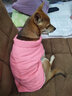 DADAGOU法国斗牛犬衣服宠物棉衣巴哥沙皮胖狗狗秋冬装棉背心加绒加厚棉衣 斗牛犬棉背心-西瓜红 XXL 实拍图