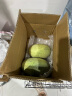 京鲜生 海南西州蜜哈密瓜  2粒装 单果2斤起 净重4.5斤起 源头直发包邮 实拍图