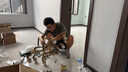 影烁 新中式客厅吊灯中国风餐厅别墅复式楼广东中山灯具套餐三室两厅 12头【防尘灯罩+全光谱三色】 实拍图