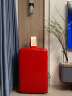 哈士奇(HCK) 圆弧复古冰箱冷冻冷藏单门宿舍家用小冰箱节能低噪 BC-130RDC 冰冻红 实拍图