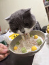 小佩3.0滤芯-5片装 宠物饮水机滤芯猫碗宠物用品(在售饮水机通用型） 实拍图