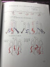 原动画基础教程：动画人的生存手册（经典版第2版）西方经典动画场景角色人物造型制作设计技法书 晒单实拍图