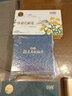 阳光（SUNFLEX） 乒乓球拍清洁剂增粘剂泡沫清洗剂球拍胶皮保养剂乒乓球清洁剂 110ml液体型清洁剂四件套 实拍图