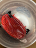 瑞堃贸易化学小子洗车水桶家用大号刷车水桶架洗龙卷风滤芯沙石挡 红色套装 晒单实拍图