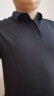 利郎冰菠萝3.0凉感短袖polo衫男24夏季男士翻领 锆石黑 175/92A  晒单实拍图