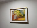 橙舍阳光请进客厅画沙发背景画餐厅装饰画小众艺术画高级感挂陈舜芝 阳光请进-鎏金（70%的客户选择） 装裱尺寸80cm*60cm无镜面 实拍图
