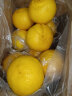绿鲜森柚子纯甜黄金贡柚新鲜现摘当季水果生鲜礼盒 五斤中果（纯甜无酸70mm起） 实拍图