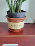 圣比莱陶瓷花盆大口径透气带托盘泥瓦盆陶土盆处理育苗紫砂陶瓷盆梅花盆 口径19+19两个盆 中等 实拍图