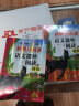新黑马阅读 语文课外阅读训练小学三年级A版 小学语文课外阅读理解专项强化训练阅读理解答题模板技巧练习册必刷题  语文课外阅读理解 实拍图