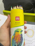 得力（deli）水溶性彩铅小学生画画用彩铅笔手绘涂色彩色铅笔绘画儿童美术画笔油性彩铅笔 【油性】彩色铅笔 36色 实拍图