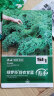 寿禾 羽衣甘蓝种子食用绿色蔬菜种籽 潍育绿罗莎羽衣甘蓝种子500粒 实拍图