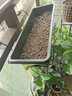 JUXBUSH花盆阳台长方形种菜盆种菜箱楼顶种植箱室内蔬菜塑料大花盆懒人 花盆悬挂支架【单支架】 特大号【49*18*12.5cm】含托盘 实拍图