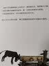 小黑牛闯祸了  乐乐趣 3-6岁 成长主题绘本故事书 愿每个孩子都被温柔以待  实拍图