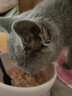 佳乐滋佳乐滋银勺猫罐头猫咪零食营养增肥成猫原装进口幼猫湿粮 105 含鸡肉鲣鱼金枪鱼 70g*6罐 实拍图