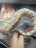 桃李旺（taoliwang）鳄鱼生鲜肉 新鲜现杀整条鳄鱼 鳄鱼尾 鳄鱼掌 鳄鱼身段年货送礼盒 【2kg】鳄鱼尾巴肉 实拍图