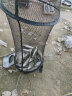小凤仙鱼漂MQD-11鲫鲤混养漂纳米浮漂高灵敏加粗尾醒目鱼标近视浮漂渔具 实拍图