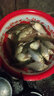 垂弦（ChuiXian）新款钓鱼线主线方便线组套装全套 绑好台钓成品超强拉力 6.3米主线组（秒换子线/单卷装） 1.5号 实拍图